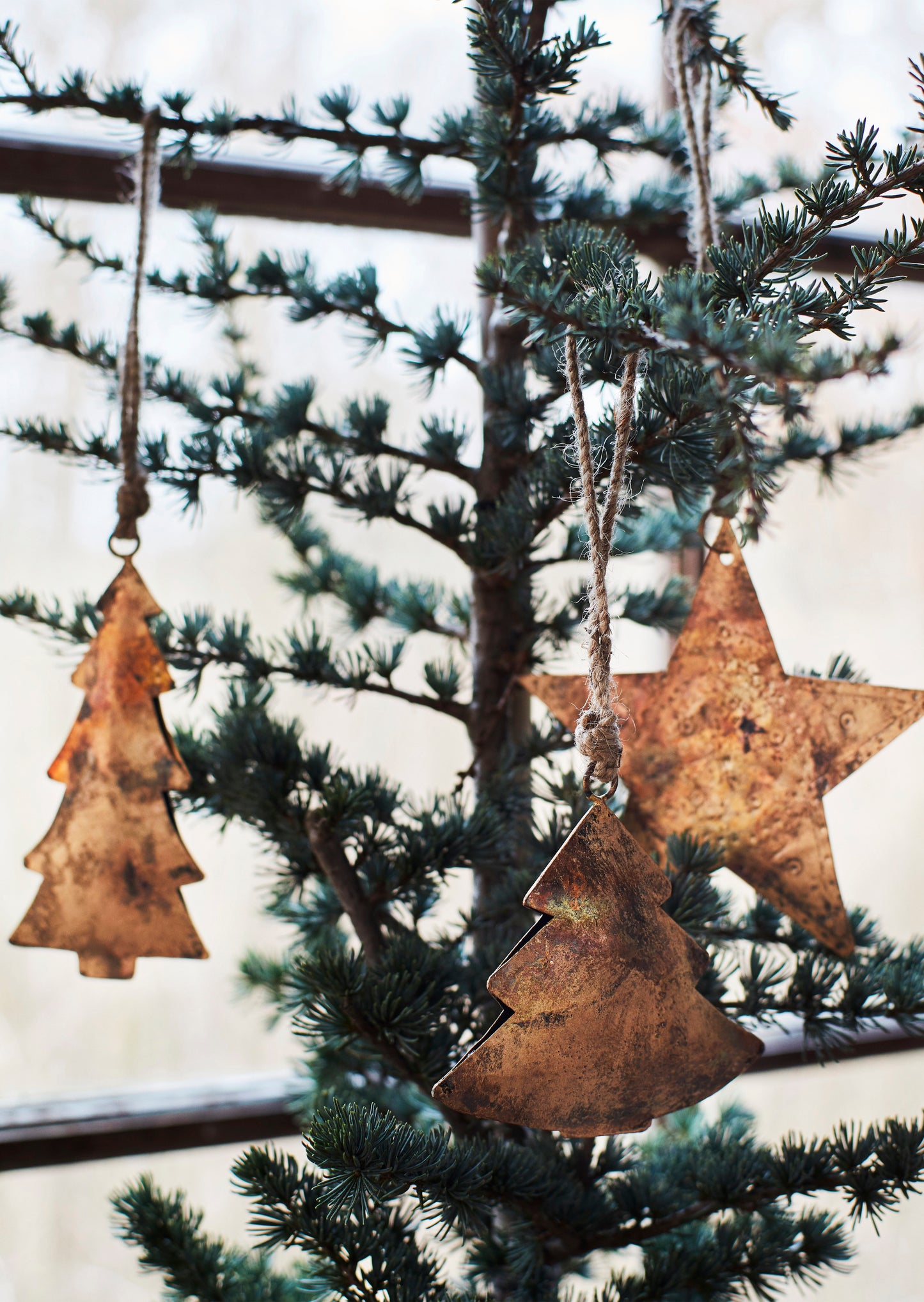 close up of a Christmas tree with three iron decorations hanging on it - two trees and one star