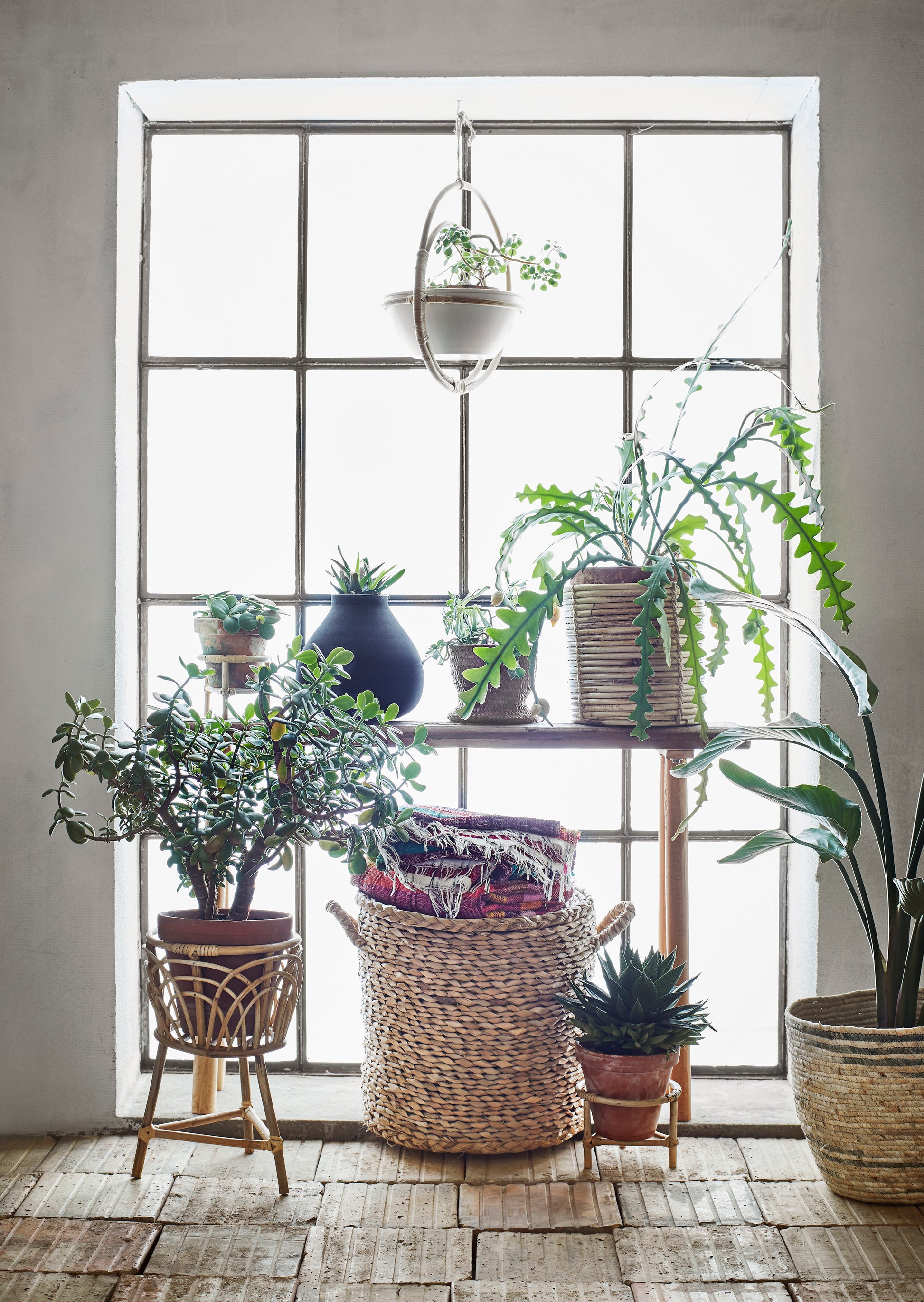 large window with a small wooden table in front of it, with lots of plants on top of and in front of the table